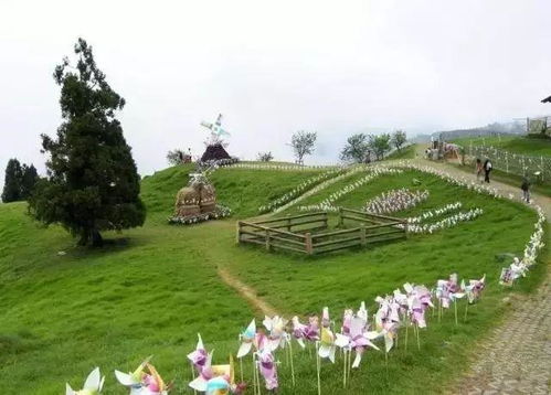 休閑農(nóng)業(yè)與養(yǎng)老服務(wù)的融合發(fā)展探索