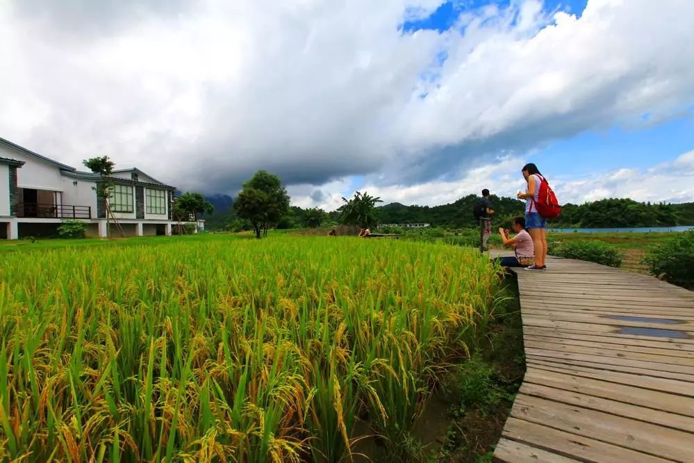 鄉村振興新引擎 休閑農業的九大發展前景