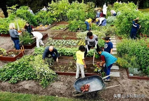 成就田園生活的食材花園 休閑農(nóng)業(yè)設(shè)計(jì)的核心要素