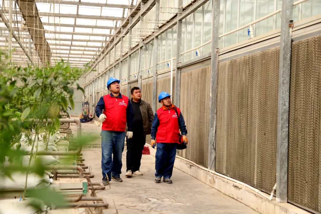 電力護航，為休閑農業產業發展注入“滿格動能”