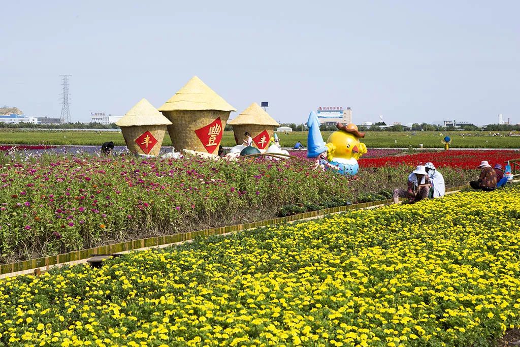 厲害了！舟山這些地方上榜省級“最美田園”、休閑農業與鄉村旅游精品線路